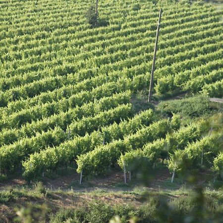 Apartmani Dienes Novi Vinodolski Luaran gambar