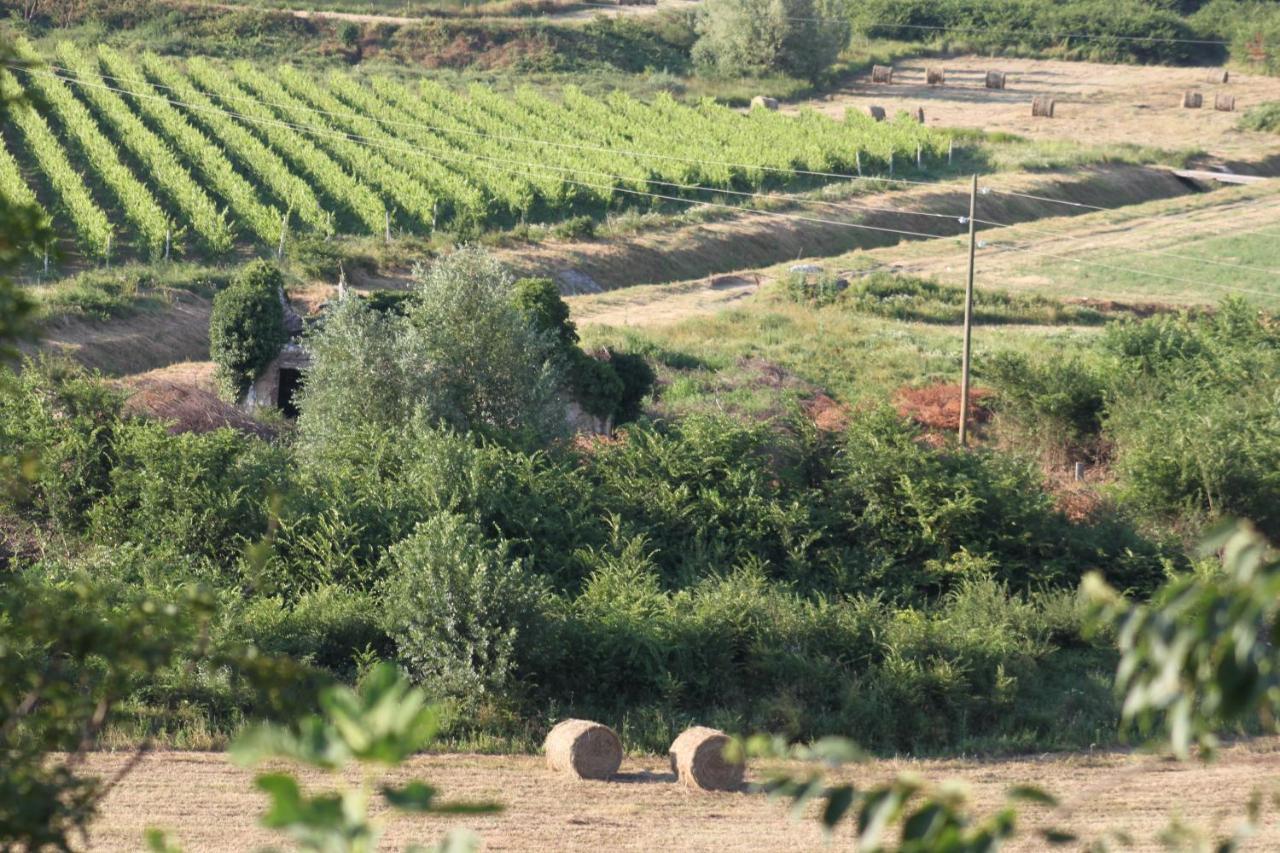 Apartmani Dienes Novi Vinodolski Luaran gambar